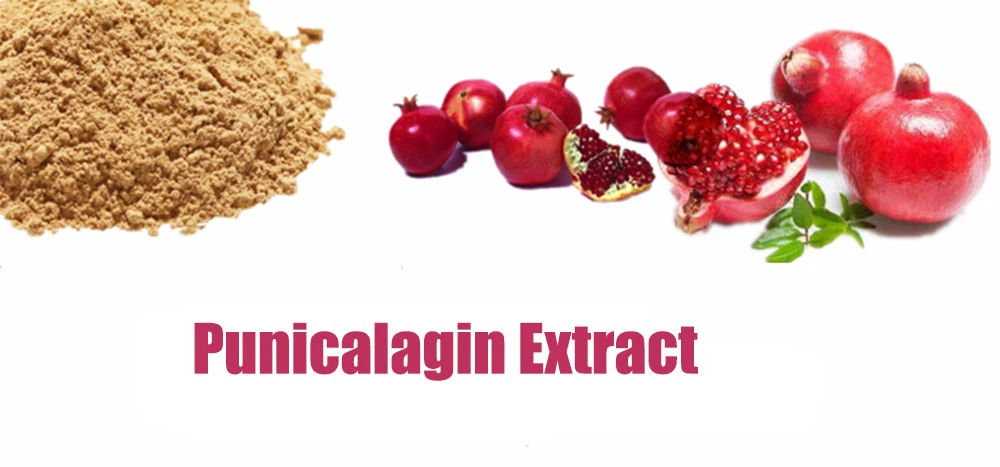 Punicalagin Extract.png